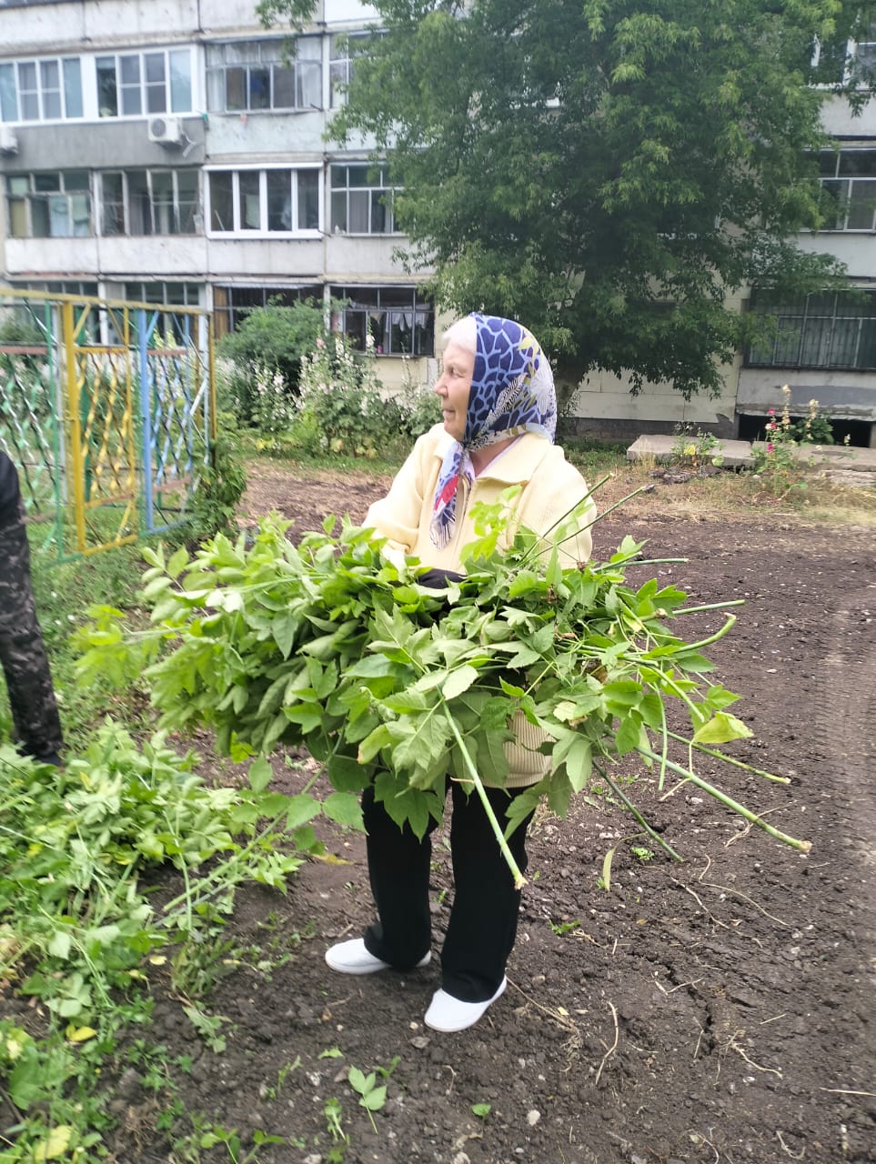 Летний субботник объединил жителей многоквартирных домов в Пролетарском  районе | 04.07.2024 | Саранск - БезФормата